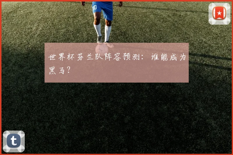 世界杯芬兰队阵容预测：谁能成为黑马？