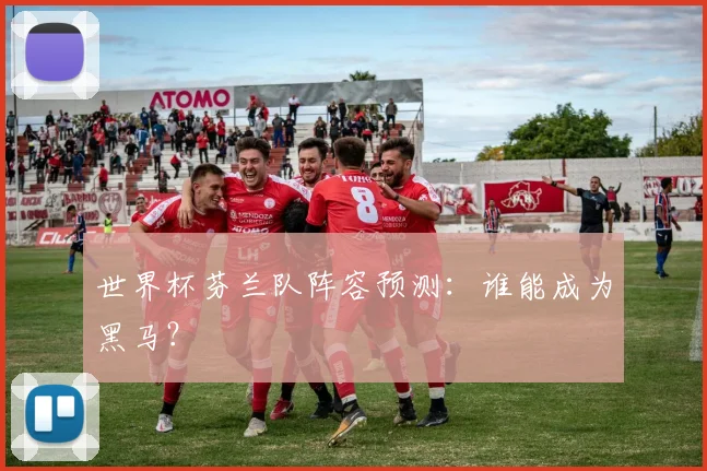世界杯芬兰队阵容预测:谁能成为黑马?