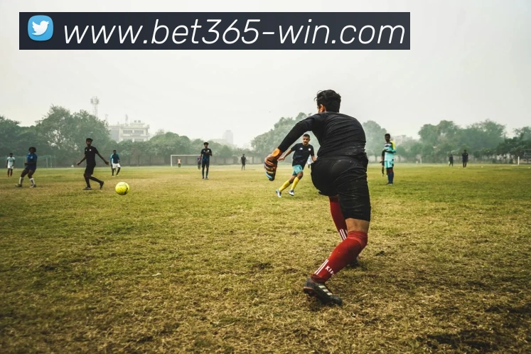 Bet365体育APP 体育赛事宣传图